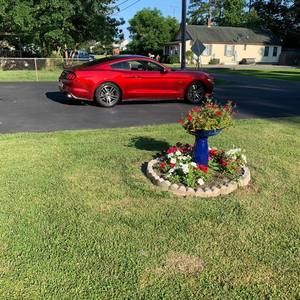 Meet your Posher, Tybarian